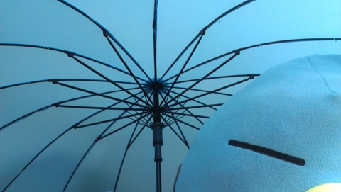 カモノハシのイコちゃん浮絵ジャンプ傘